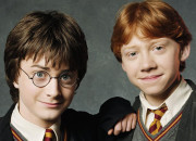 Test Quel personnage de ''Harry Potter'' es-tu ? (dition garons)