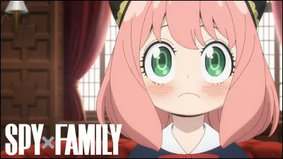 Quel personnage pr&eacute;f&egrave;res-tu ? (Cela peut influencer ton r&eacute;sultat.)