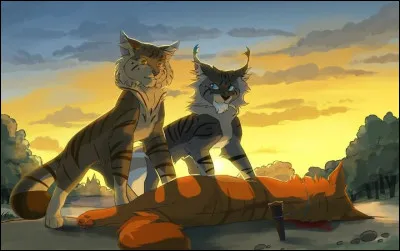 Holala ! Mais que va-t-il se passer ?