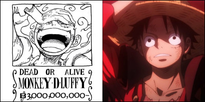 Quel est son objectif ?