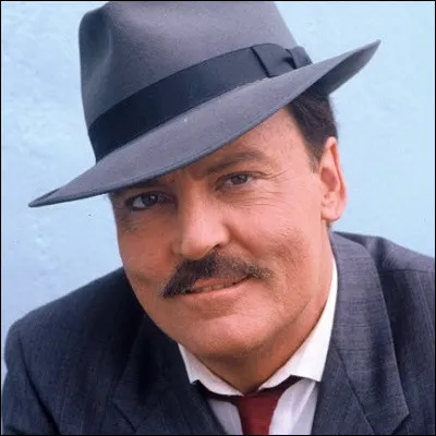 Dans quelle série télévisée un détective privé incarné par Stacy Keach enquête-t-il à New York ?