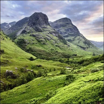 Quel monstre légendaire, qui vivrait dans les Highlands écossais, a reçu un nom scientifique par des biologistes ?