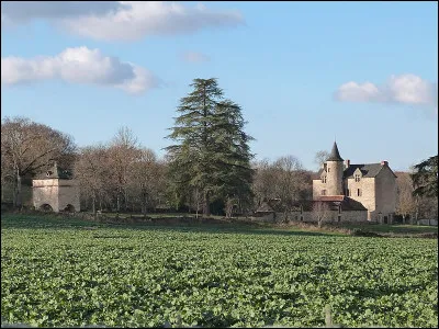 À quelle altitude situez-vous le point culminant du Tarn-et-Garonne ?