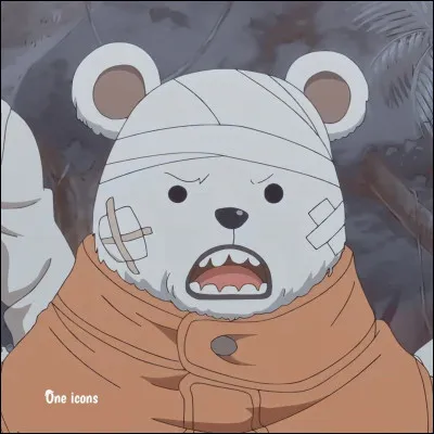 Comment s'appelle l'ours dans l'équipage de Law ?