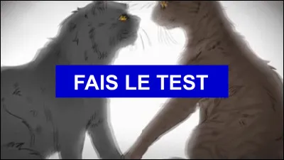 Quelle est la couleur du pelage de Pelage de Brume ?