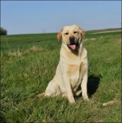 D'ailleurs, d'où est-il originaire ?