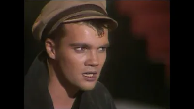 Je suis un chanteur qui vous mène en bateau. Comment me prénomme-t-on ?