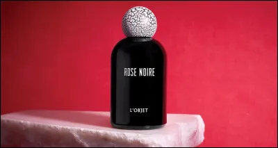 Quel objet préféres-tu ?