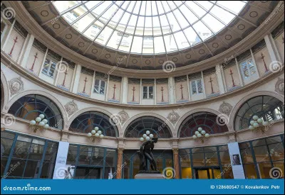 Ton genre de livre préféré, c'est...