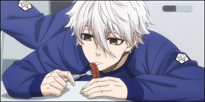 De quel animé/manga vient-il ?