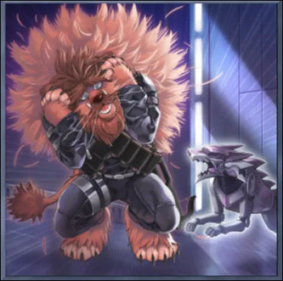 Expert ! Quel est le nom de cette carte ?