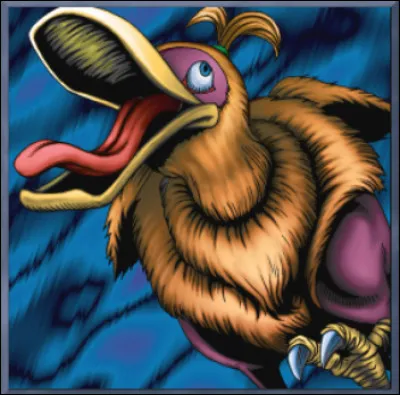 Fou du jeu ! Quel est le nom de cette carte ?