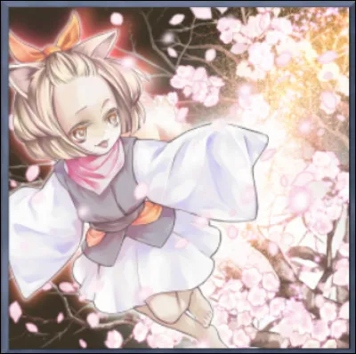 Intermédiaire ! Quel est le nom de cette carte ?