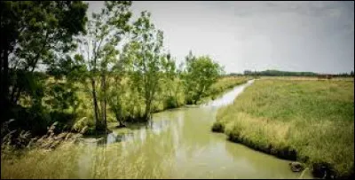 Quelle est cette région naturelle, autre zone humide, mais située au nord-ouest de la Vendée, comprenant un réseau de canaux (étiers), des prairies humides et des polders ?