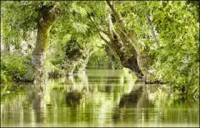 Quelle est cette région naturelle du sud de la Vendée, vaste zone humide correspondant à un ancien golfe marin ?