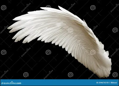 Si l'on est sous l'aile de quelqu'un, on est sous...