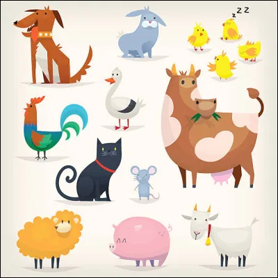 'La Pékin'' est quel animal de basse-cour ?