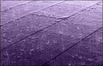 Quel est le nom vulgaire du pic-vert ?