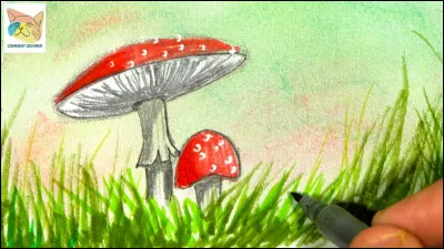 Si je te dis "champignon", tu dis :