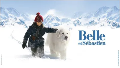 Dans le feuilleton "Belle et Sébastien", quelle est la race du chien Belle ?