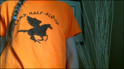 Quel est le nom de la colonie et &agrave; quoi sert-elle ?