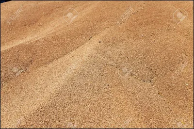 Quel pays est le plus gros producteur de blé au monde ?