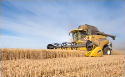 Quels sont les mois où on moissonne le blé généralement ?