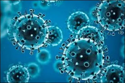 2020 arrive et je demeure de nouveau inactif. Cette année-là, Quizz.biz connait une belle ascension grâce (ou à cause, ça dépend du point de vue) à une pandémie mondiale qui marquera notre époque. De quelle maladie s'agissait-il ?