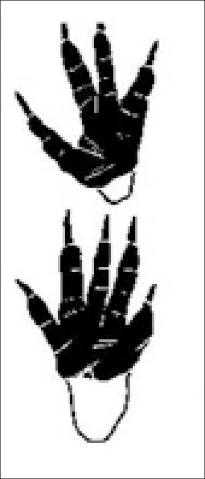 À quel animal appartient cette empreinte ?