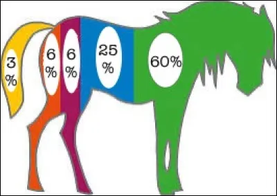 Expliquez la répartition des activités du cheval à l’état naturel selon les pourcentages.