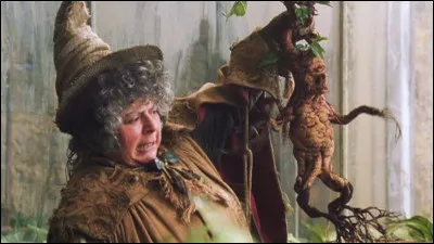Dans "Harry Potter", comment se nomme le professeur de botanique ?