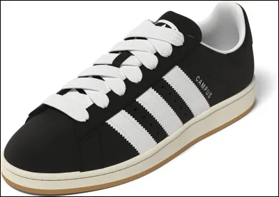 Quelle est la marque de cette chaussure ?