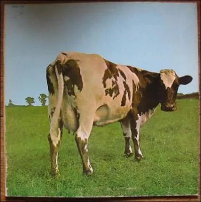 Quel album contient cette pochette de Pink Floyd ?