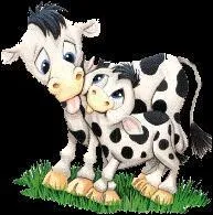 A la ferme, comment s'appelle la jeune vache n'ayant pas encore eu de veau ?