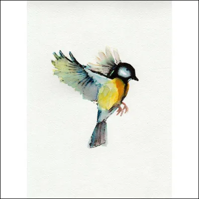 Ton animal préféré est... (3)