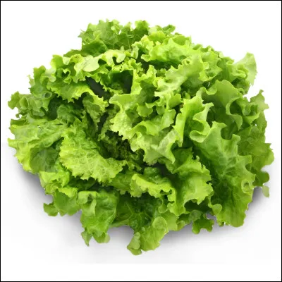 Quelle est l'origine de la salade verte ?