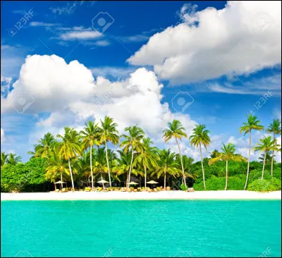 Quel légume cultive-t-on en été ?