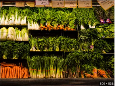 A quand remontent les "vrais" débuts de l'agriculture ?