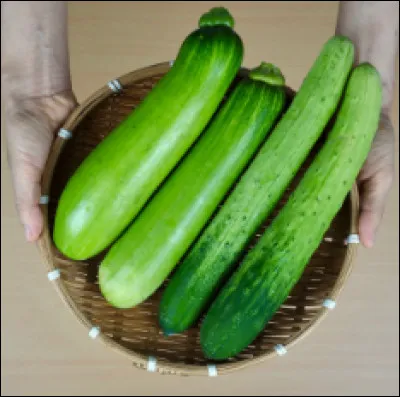 D'après les statistiques, combien de jeunes (entre 15 et 24 ans) ne savent pas différencier une courgette d'un concombre ?