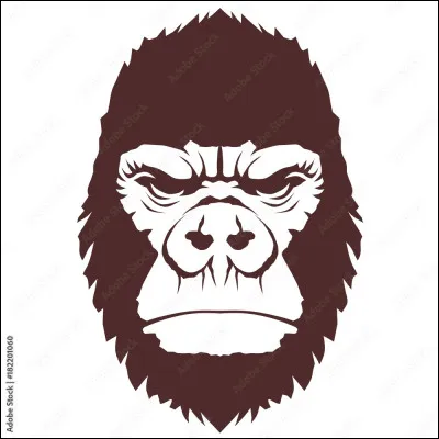 Quel est ton principal défaut ?