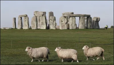 Qui étaient les premières "personnes" à commencer à vivre en Grande-Bretagne ?