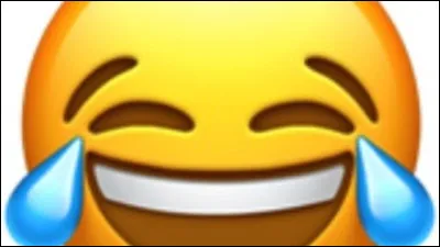 Tu vas à ton premier cours, cest un cours dhistoire. Tu ne comprends rien et ton professeur tinterroge. Tu réponds au hasard et ta réponse est fausse. Toute la classe rit et tu détestes quon se moque de toi. Que fais-tu ?