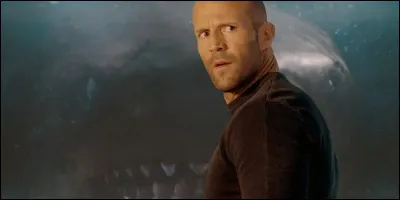Jonas Taylor est un plongeur spécialiste des fonds marins et un ex-capitaine de la Marine dans le film :