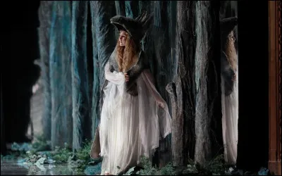 Quel personnage se cache sous une fourrure non tannée et repoussante pour fuir son père ?