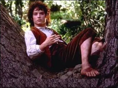 Quels petits êtres de l'univers de Tolkien ont les pieds recouverts de fourrure ?