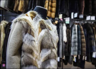 Comment appelle-t-on l'artisan qui prépare, vend des peaux et des fourrures ?