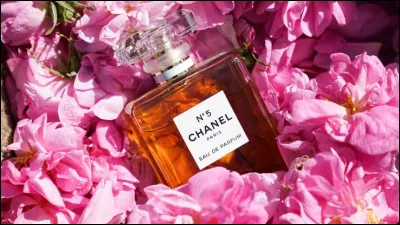 Quelle actrice a déclaré ne porter pour dormir que quelques gouttes de Chanel N°5  ?