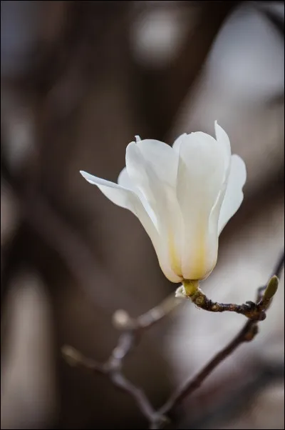 Quelle couleur préfères-tu parmi les suivantes ?