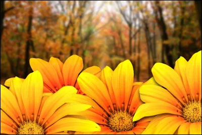 Choisis une émotion.