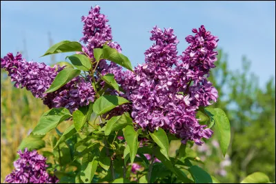 Pour terminer, choisis un endroit.